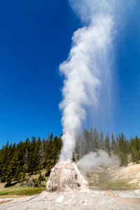 Lone Star Geyser on a sunny afternoon portrait