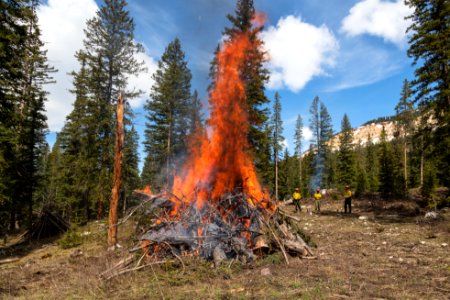 Northeast Entrance fuels project - monitoring a burn pile (2)