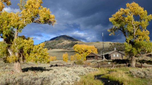 Buffalo Ranch in Lamar Valley