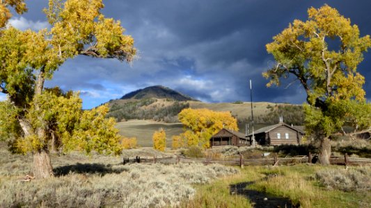 Buffalo Ranch in Lamar Valley photo