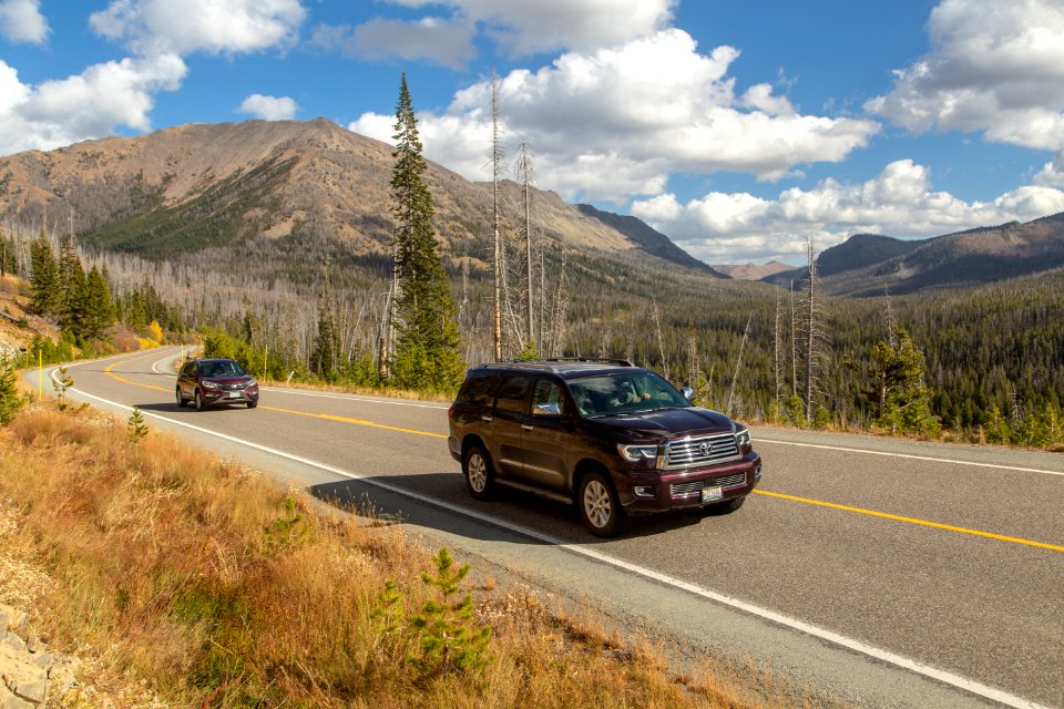 Yellowstone's East Entrance Road