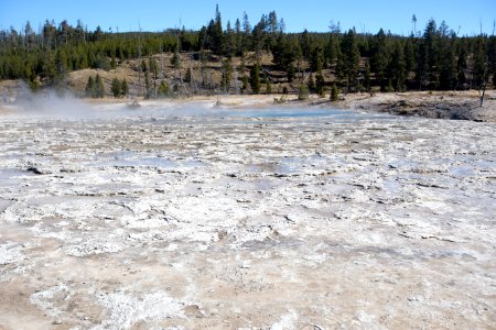 Oblong Geyser, Upper Geyser Basin