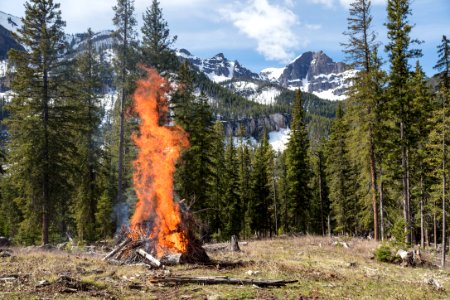 Northeast Entrance fuels project - pile burning