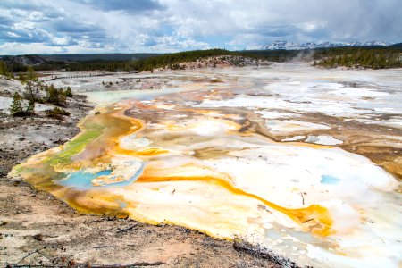 A rainbow of colors at the Norris Geyser Basin