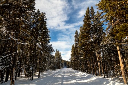 Grand Loop Road in late fall photo