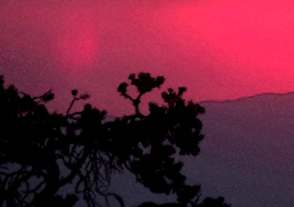 INYO BRISTLECONES & CAMPSITE (8-13-2017) - 32 WATERCOLOR