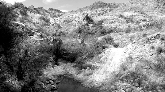 ROCK CORRAL CANYON - Atascosa Mts (3-22-14) -01 BW photo