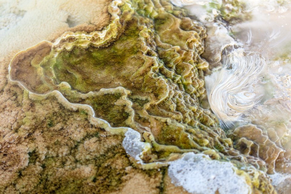 Algae and Calcite Formations