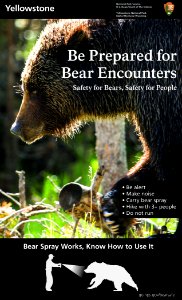 Be Prepared for Bear Encounters