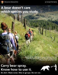 "A bear doesn't care if you're stocking fish eggs."