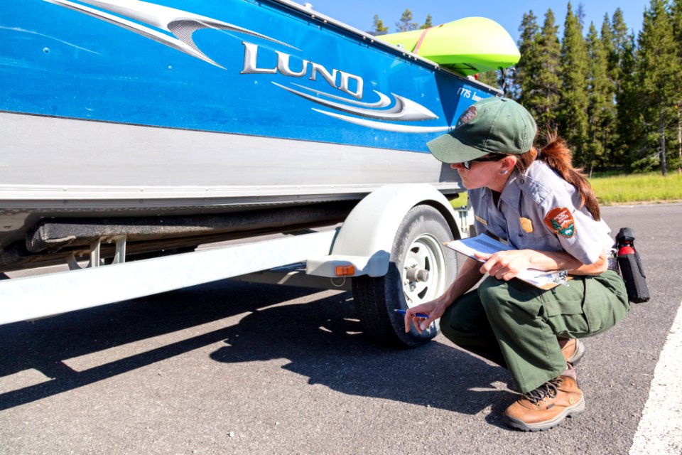 Ranger performs a Yellowstone AIS inspection at Bridge Bay (2)
