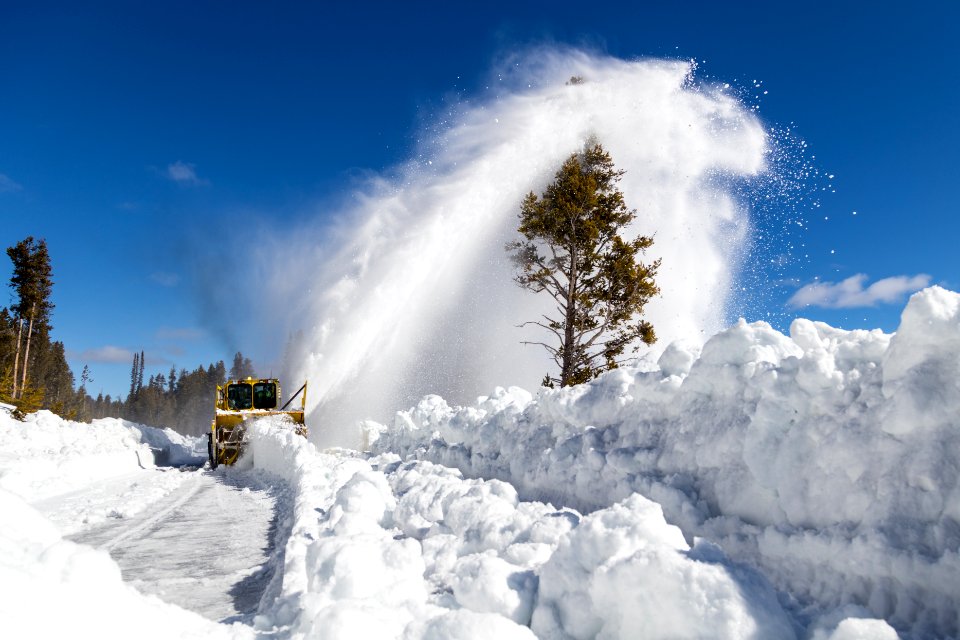 Plowing operations 3.28.17 (6)