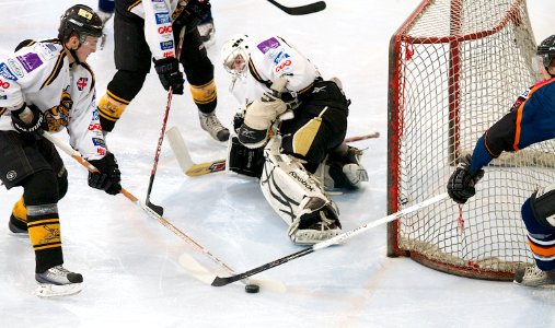 Bracknell Bees Vs Peterborough Phantoms