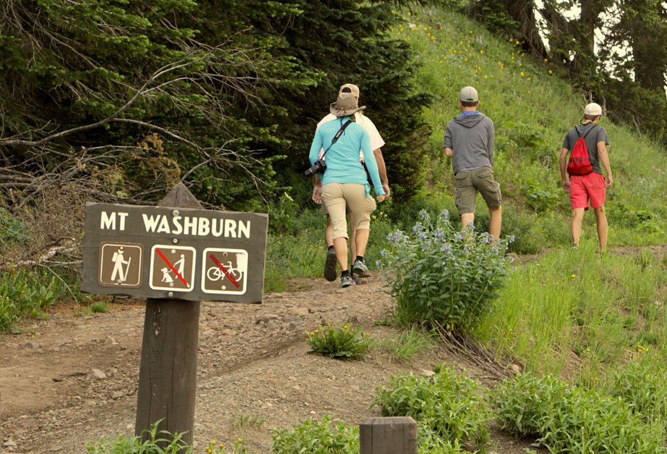 Hikers on Mt. Washburn trail