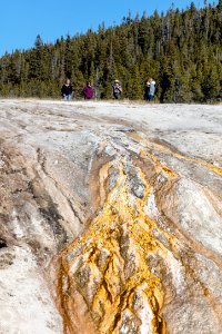 Ranger chats with people on Upper Geyser Basin boardwalks