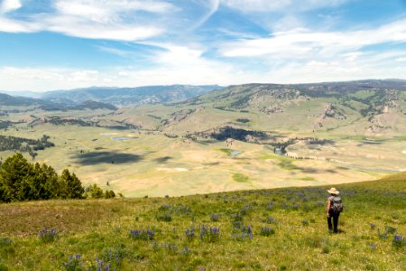 Hiker overlooking Lamar Valley photo