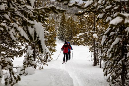 Cross-country skiing on Black Sand Basin Trail photo