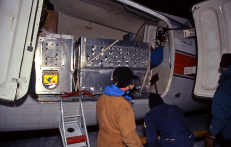 Wolf shipping containers in a U.S. Forest Service plane at Bozeman Airport