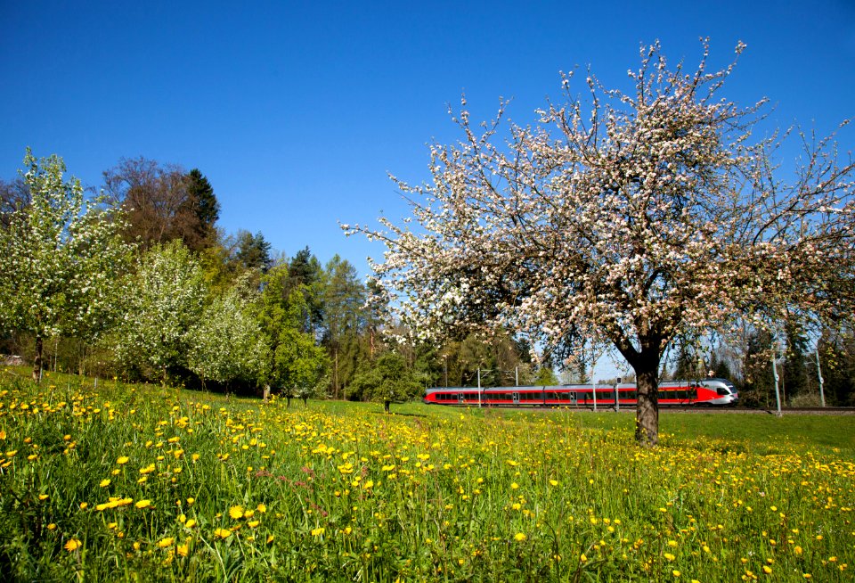 RABe 526 unterwegs bei Mörschwil
