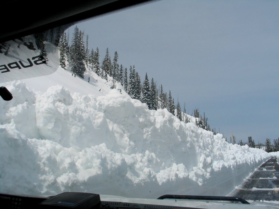 Avalanche area at Lewis River