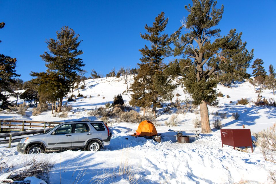 Winter in the Mammoth Hot Springs Campground