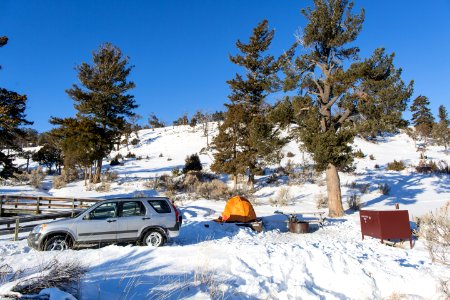 Winter in the Mammoth Hot Springs Campground photo