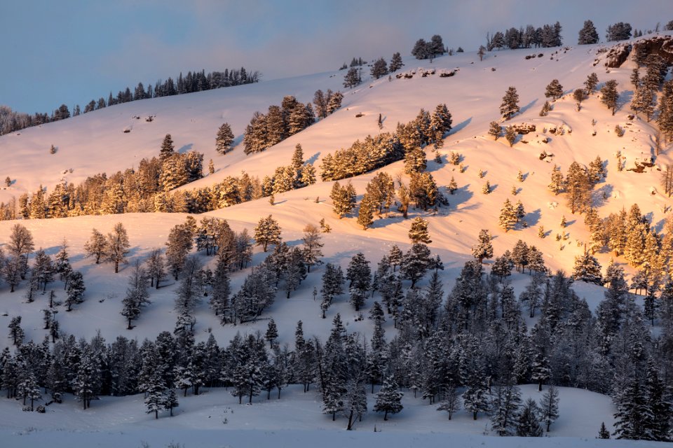 Last light in Lamar Valley