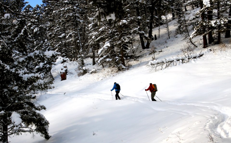 Skiers on Snow Pass Trail