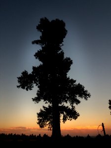 GREEN'S PEAK, Apache Co, AZ -13 sheep springs road campsite