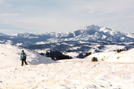 A skier on the Blacktail Plateau Ski Trail photo