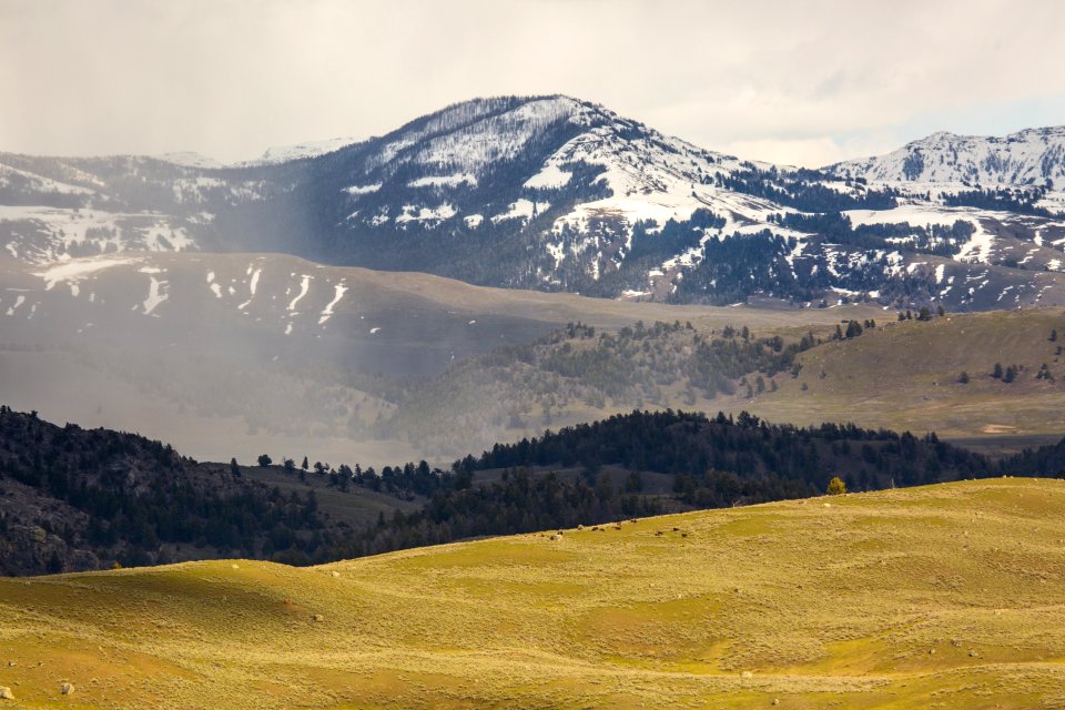 Spring snow flurries over Lamar Valley