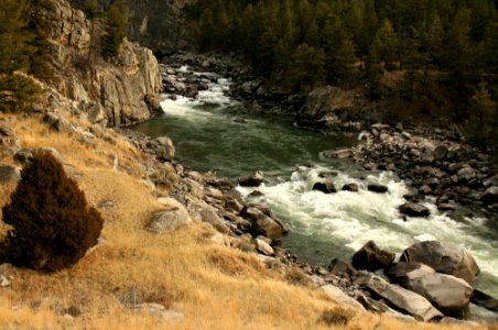 Yellowstone River photo