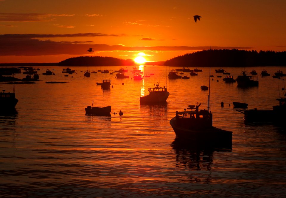 005 - STONINGTON, HANCOCK CO, MAINE (9-19-2018) -95