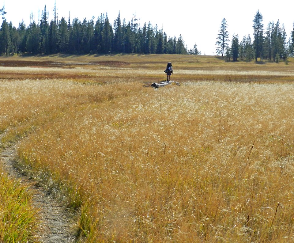Backpacking through Bechler meadows