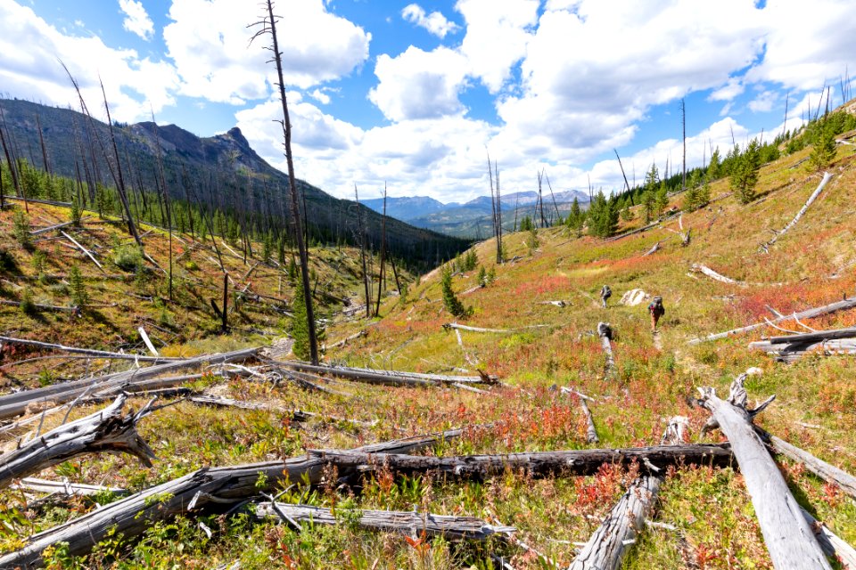 Hikers along Lake Abundance Creek (2)
