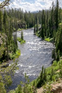 Lewis River