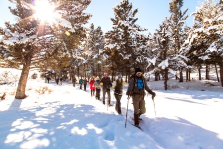 Yellowstone Forever Cougar Course - Snowshoeing at Hellroaring photo