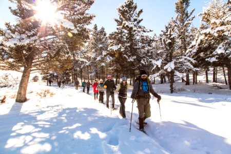 Yellowstone Forever Cougar Course - Snowshoeing at Hellroaring