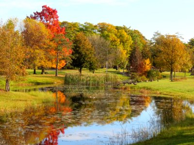 IMG 2409 Van Cleve Park in autumn