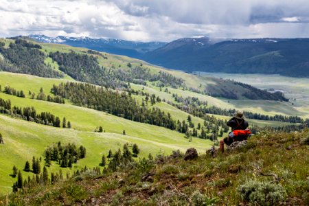 Wildlife watching in Lamar Valley photo