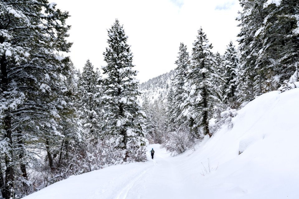 Skiing through Emigrant Gulch (2)