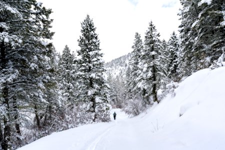 Skiing through Emigrant Gulch (2)