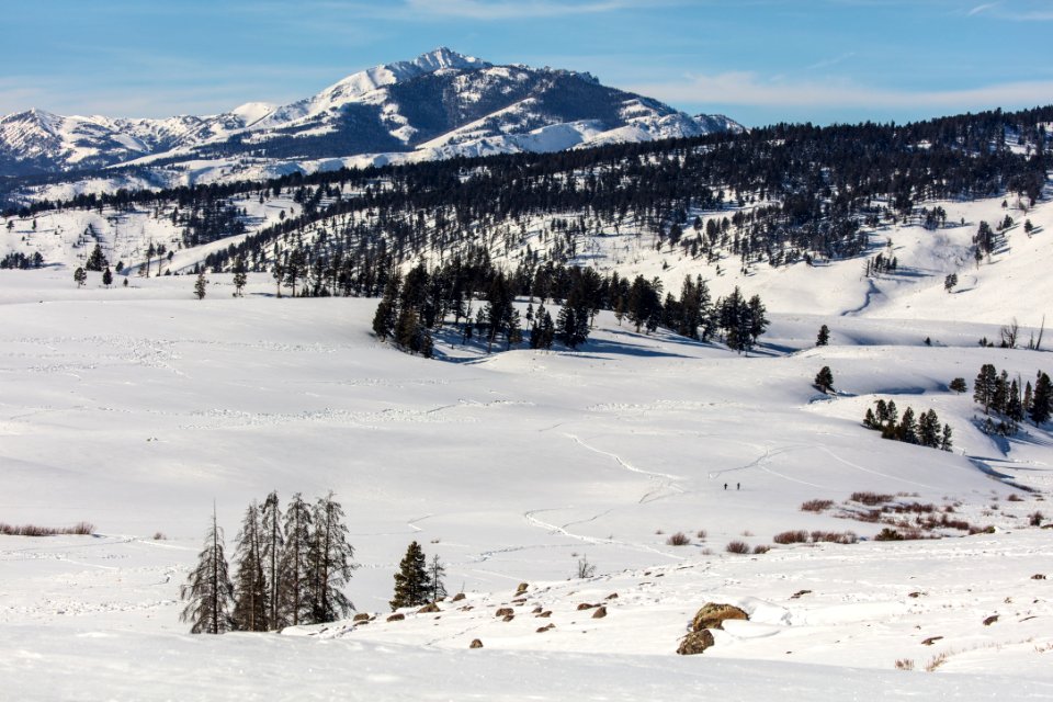 Two skiers in the distance on Blacktail Deer Plateau