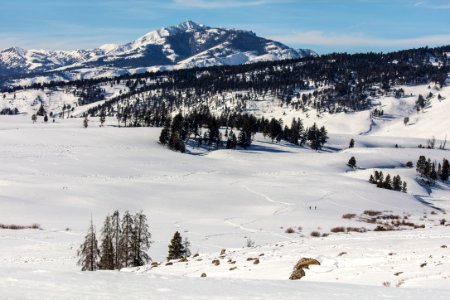 Two skiers in the distance on Blacktail Deer Plateau photo