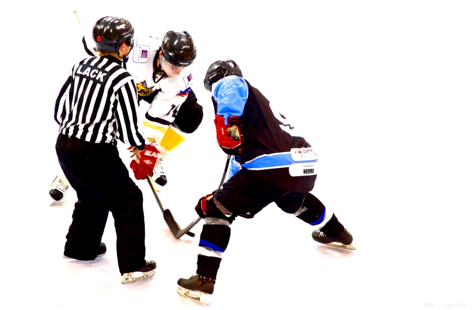 Bracknell Bees Vs Manchester Phoenix