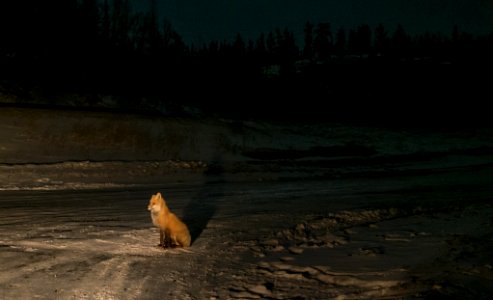 2018 Aurora Yellowknife Canada