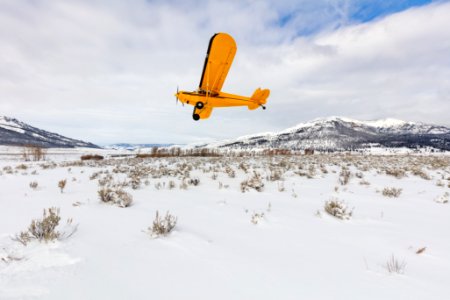 Wolf crew member flying in Lamar Valley