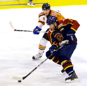 Guildford Flames At Telford Tigers