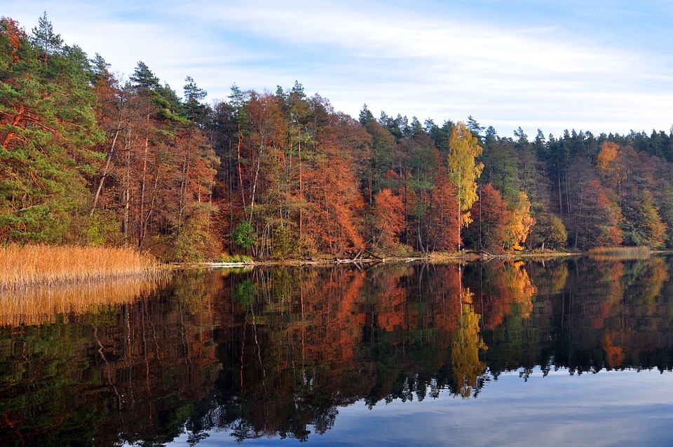 Wet lake november autumn