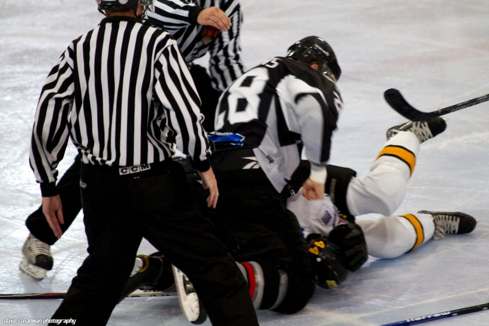 Bracknell Bees Vs Basingstoke Bison